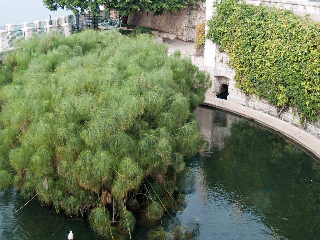 Rosa Di Ortigia Διαμέρισμα Συρακούσες Εξωτερικό φωτογραφία
