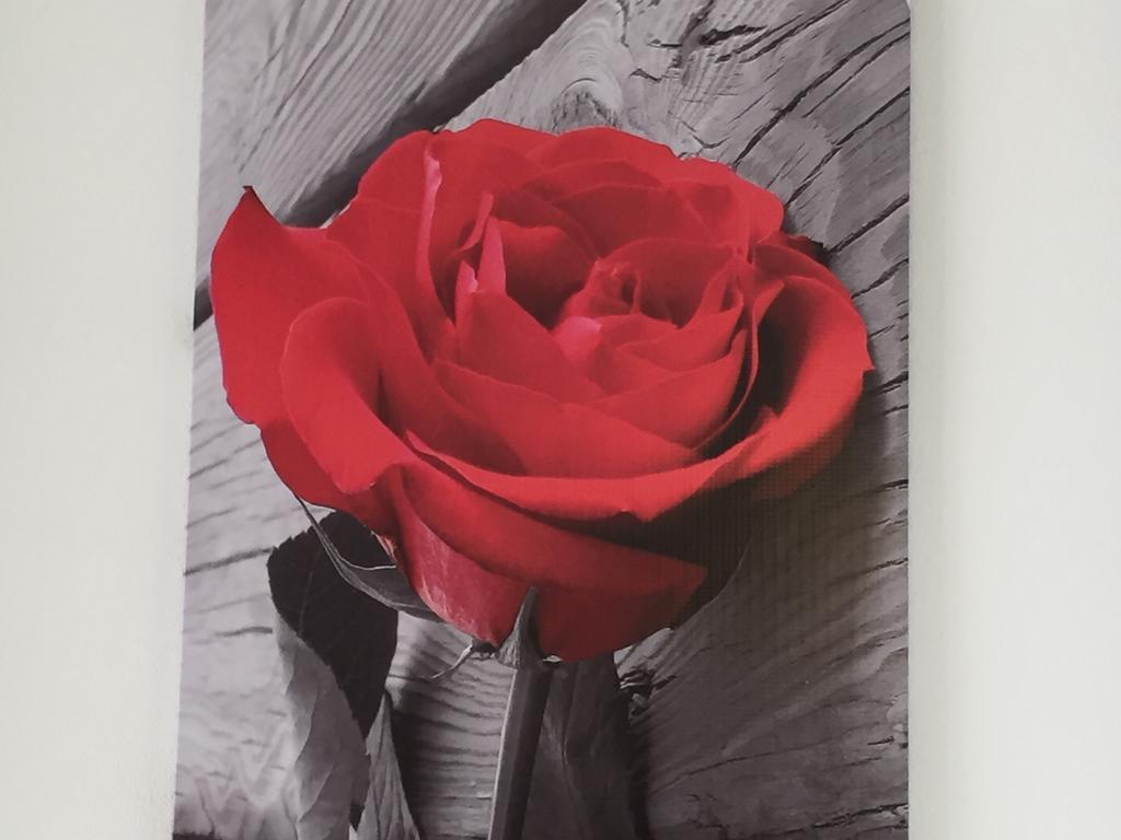 Rosa Di Ortigia Διαμέρισμα Συρακούσες Εξωτερικό φωτογραφία